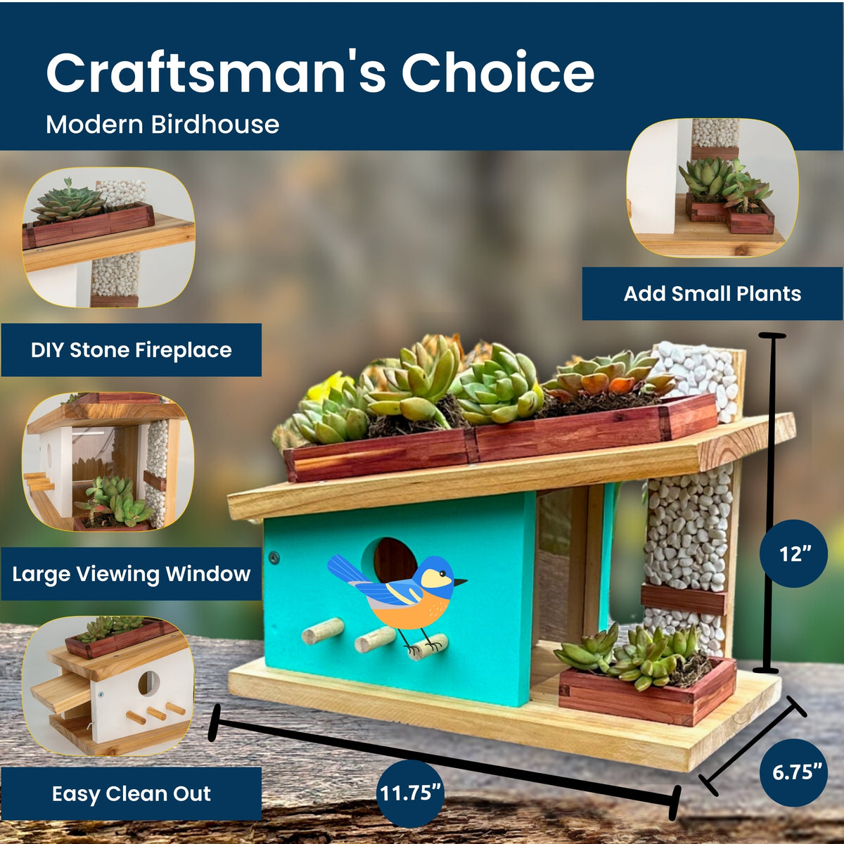 Modern Birdhouse Case Pack (8 Kits)