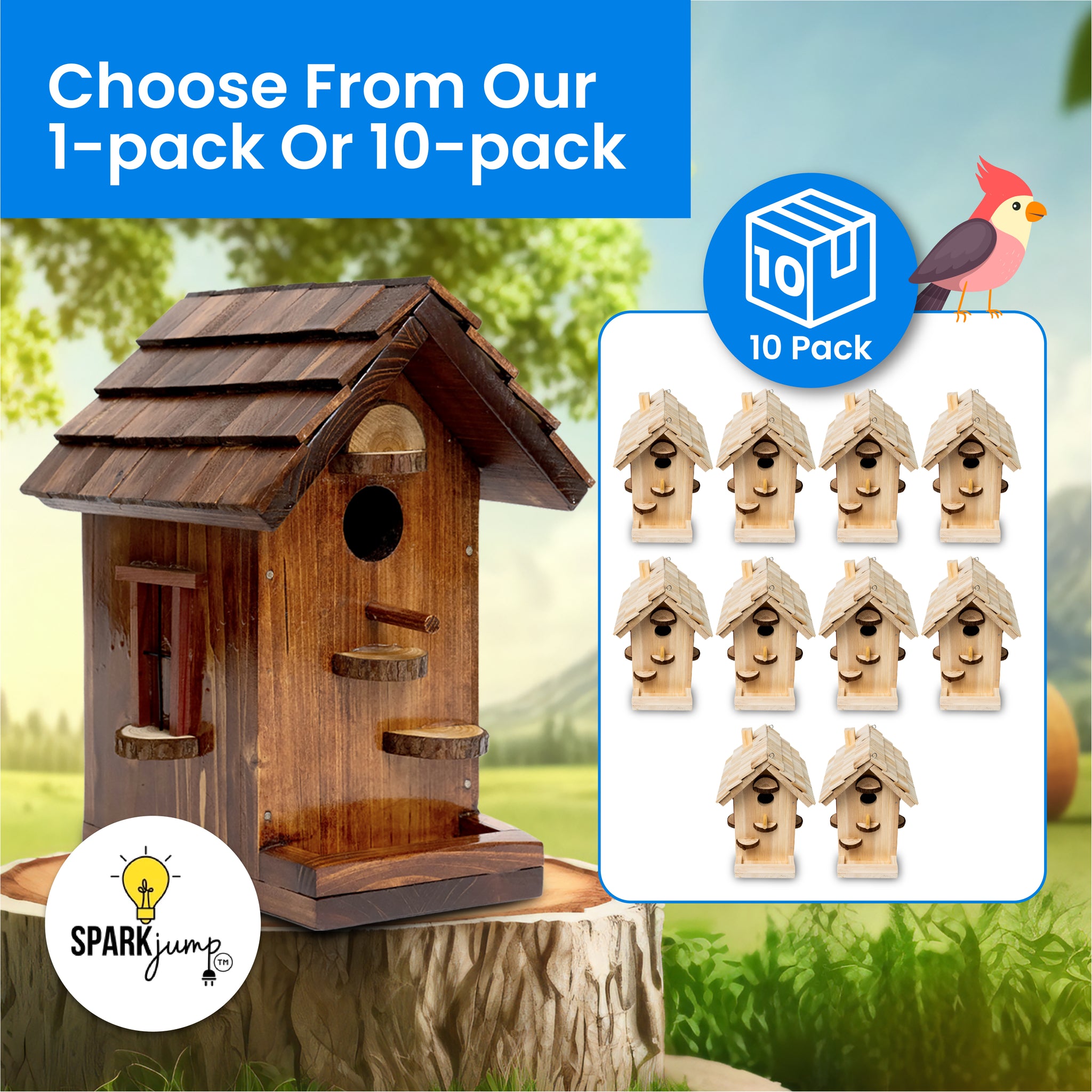SparkJump Jr Birdhouse Kit with Paint Set, Cedar Wood for Outdoors, Bird Feeder, DIY Crafts Woodworking Building Gardening Project for Kids and Adults